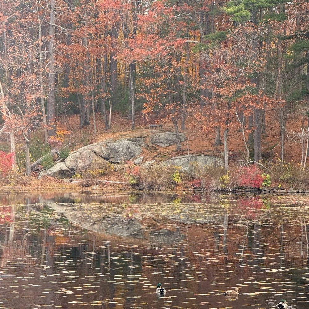 Meet your Posher, Verse